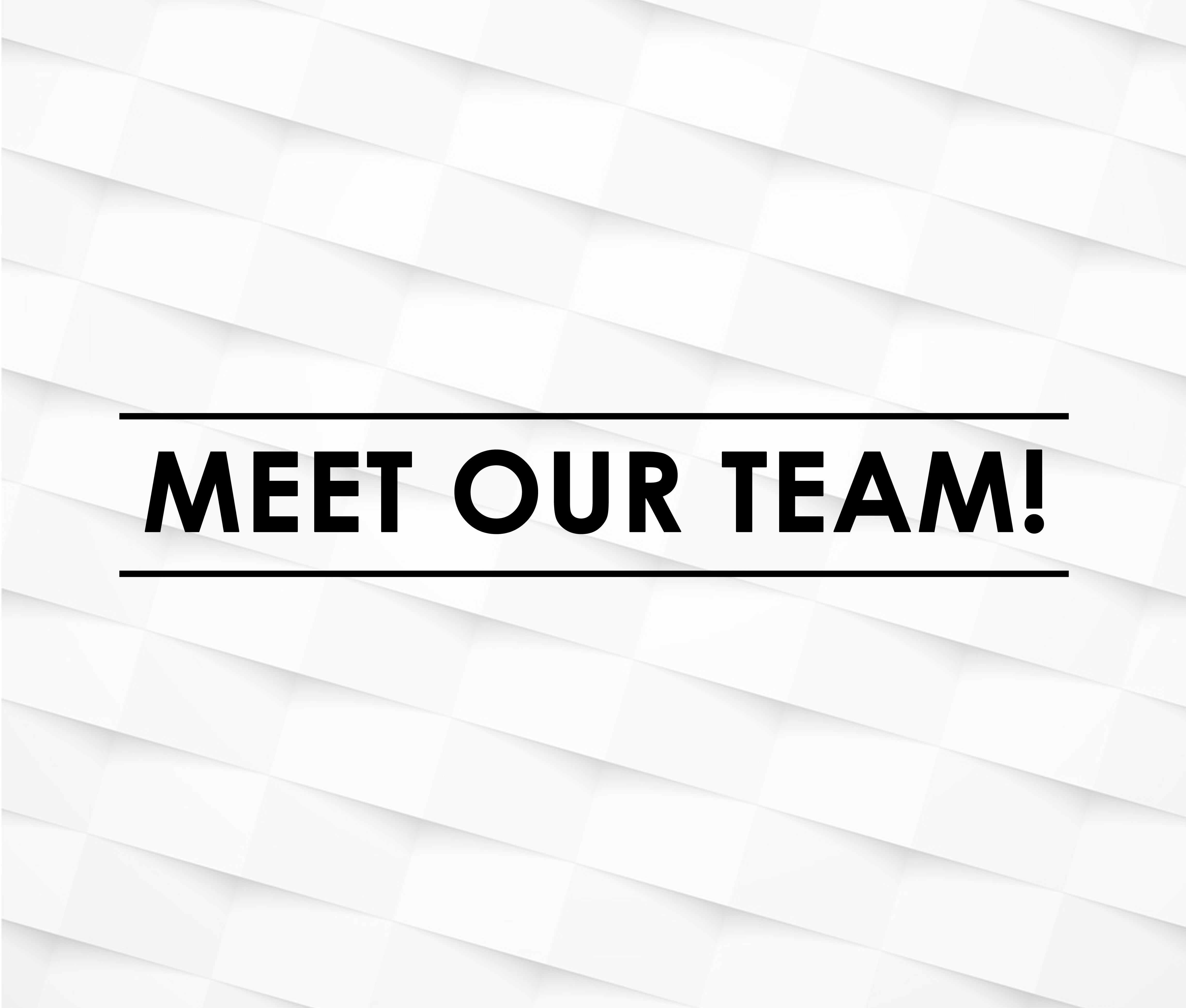 Meet the Team